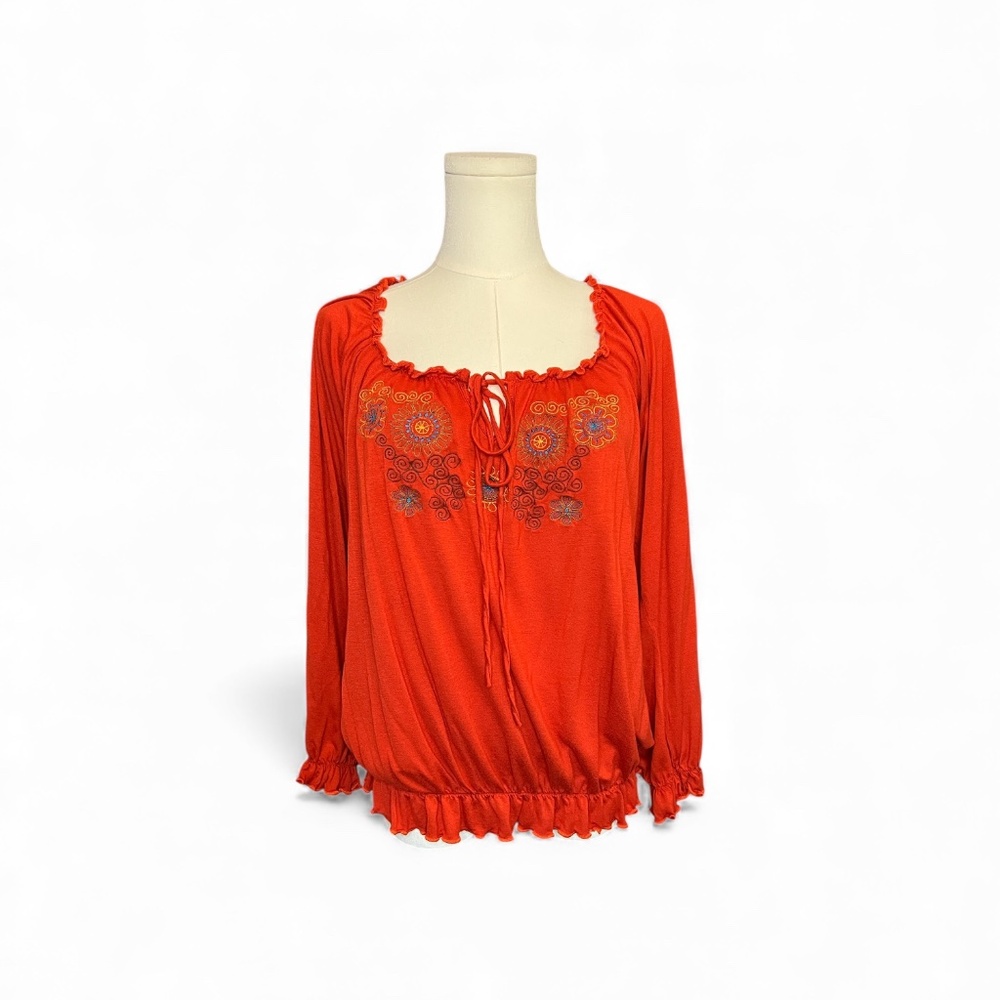 EUC Allegro rust embroidered long sleeve blouse | sz XL